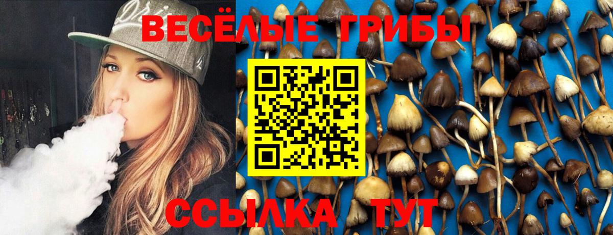 Галлюциногенные грибы MAGIC MUSHROOMS Белогорск